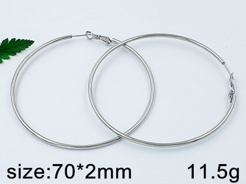 Обеци от медицинска стомана (DFE66091-2mm70mm)